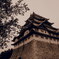 名古屋城