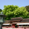 太宰府天満宮
