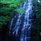 荘厳