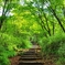 金時山登山道