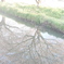 photo_1855329