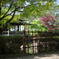 早朝の西山公園（饗陽庭園）