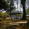 越前・紫式部公園