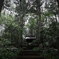 大雄寺　山門