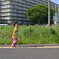 黄色の線路