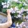 思わず触れて・・・♪