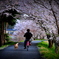 犬も喜ぶ♪