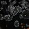 DSC02374a