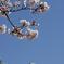 DSC02286a