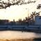DSC02318a