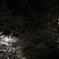 DSC02142a