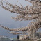 DSC02192