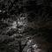DSC02117a