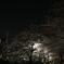 DSC02138a
