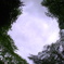 cloudy sky with trees