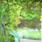 Green Green