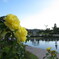 バラ公園