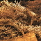 P4100035