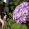 犬とアジサイ