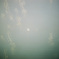 FH0000016