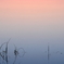 水夕景