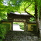 平家ゆかりのお寺です