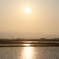 田んぼの夕日