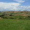 Windows XP
