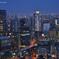 OSAKA NIGHT COLLECTION