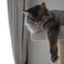 Ｚｚｚｚ・・・