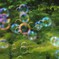 星屑 宇宙(ソラ)へ帰る