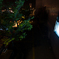 photo_1874817