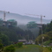 里山を通る新東名橋梁