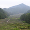 四谷の千枚田1