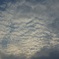 多摩の雲
