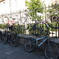 2011_Cambridge07