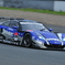 RAYBRIG HSV-010_1