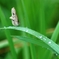 雨上がりの草原で・・・