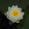DSCN0396