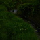 蛍 2012