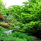 好古園１２