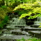 好古園１９