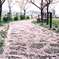 End of Spring