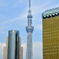blueSkytree