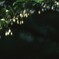 一足お先に