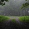 霧の山道