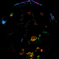 photo_1893293