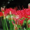 photo_1893311