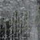 雰水
