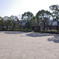 朝　公園